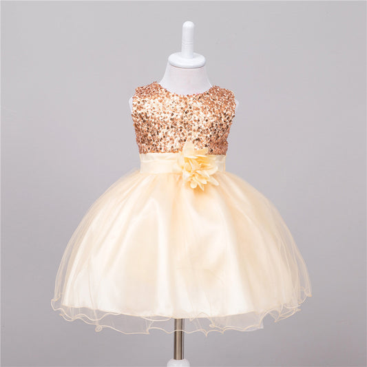 Baby Sequin Flower Girl Princess Dress